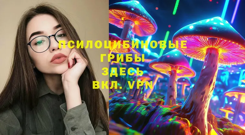 как найти закладки  Петровск  MEGA вход  Псилоцибиновые грибы Cubensis 